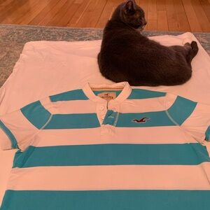 Mens Hollister all cotton T-shirt. Size XL Turquoise and white colors